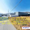 세양공인중개사사무소 Daum카페