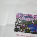 행운의결혼정보