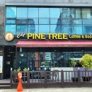 소나무파인트리(PINE TREE) 이미지