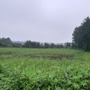 의귀초등학교 이미지