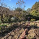 추어가 명품추어탕 이미지