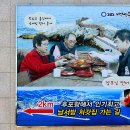 금진3리 이미지