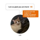 신전당구장