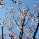 여의서로1길 이미지