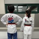 무궁화 태권도 이미지