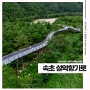 설악스카이 | 속초 설악향기로 스카이워크, 설렁설렁 걷는 설악산 둘레길 여행