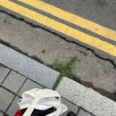 노블스포렉스수영장 | [나의 수영일지] 지옥의 아침수영 시작! 구월동 노블스포렉스 수영장 후기, 송도 igc 수영장과 비교