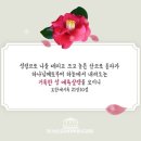 깔끔맨 네이버블로그