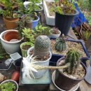 삼거리공인중개사사무소 이미지