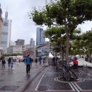 백화점길 이미지