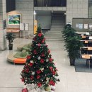 한강정형외과의원 이미지