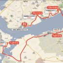 2017년도 하반기 단체 (김대중마라톤대회) 참가자 조사 이미지