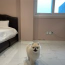 베러플레이스키즈풀빌라