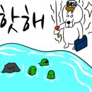 대로짜치 이미지