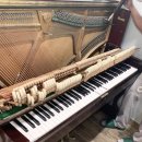 베토벤피아노사 이미지