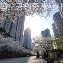 JS공인중개사사무소 이미지