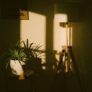 우리 아이 돌직구 성교육 | [아홉 살 성교육 사전] 아이와 함께 읽은 현실 후기