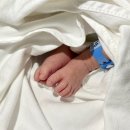 동의부부한의원 | 오송 산모도우미119 신청 방법 및 3주 이용 후기