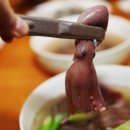 낙지힘낙지 이미지