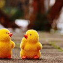 사진을 찍다 이미지