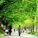 초록세탁 이미지