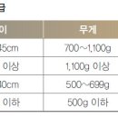 무 - 육종 단무지무 이미지