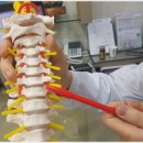 부부청담한의원 이미지