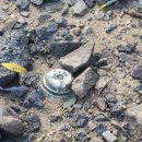 철원초등학교_ 이미지