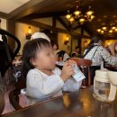 혜성어린이집 | [도쿄 여행] 17개월 아기랑 도쿄 디즈니랜드 할로윈 시즌 방문 후기