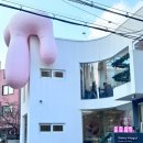 서울숲 맛집 서울숲 베이글카페 베이크모굴후기
