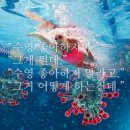 신촌역 수영장 창천교육문화관 자유수영 후기