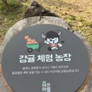 백동진농장 | 제주도 중문 숙소 추천 나즈막한 <야크마을> 리빙 스위트 후기