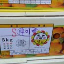 과일하우스 이미지