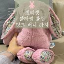 핑크버니 | [제품 리뷰] 젤리캣 블라썸 튤립 핑크 버니 L 사이즈 내돈내산 구매후기 애착인형추천 젤리캣 M L...