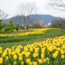 가득한정원 이미지