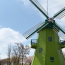 순천만국가정원 | 🌷 아이랑 다녀온 순천만국가정원 봄 후기! (+입장료/할인/동선 꿀팁)