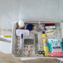 퀸 애견 이미지