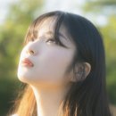 이풀잎