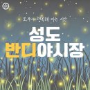 반디어린이집 | ✨반짝반짝 밤하늘 아래, 성도 반디야시장 오픈!🎪🌙-제천 (청전동, 장락동, 고암동) 성도어린이집