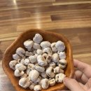 술통 | 안산 본오동 정겨운 술집 술통 방문후기 메뉴판 공유