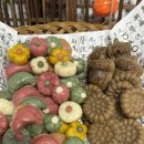 블링블링펫미용 이미지