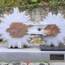 둔덕면사무소 이미지