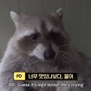 [스페인 교환학생] EP.10 공대생의 패션수업 듣기 | 마드리드 빈티지샵, 프라도 미술관, 프랑스 친구의...