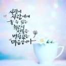 목요일 Daum카페