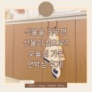 식물을 키우면 선물이 집으로? 오늘의 가든 언박싱 후기!