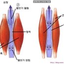 에스더뷰티 - 수원시 팔달구 | 에스더뷰티
