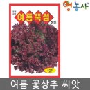 씨앗 이미지