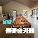 담양 신상 카페 들꽃숲 카페, 정원뷰 예쁜 담양 대형카페 내돈내산 후기