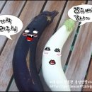 오팔농장 이미지