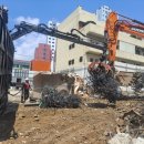 금강비철 이미지